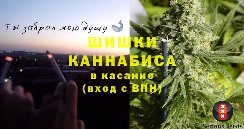 купить наркотик  Кохма  Конопля OG Kush 